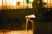 Wasser